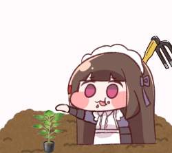 416976 B