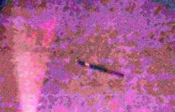 1132884 B