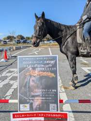 290163 B