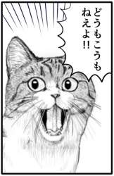 65697 B