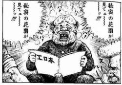 48523 B