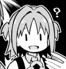 22333 B