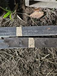 1275419 B