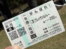 2337531 B