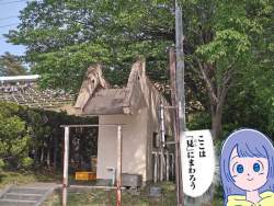 7547816 B