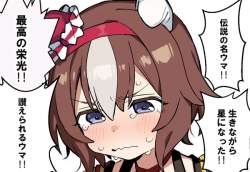 49494 B