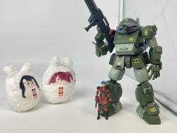 244495 B