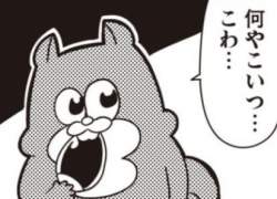 32497 B