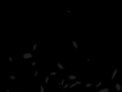 8185841 B