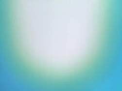 8170146 B