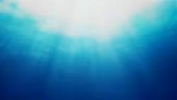 2040083 B