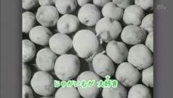 57064 B