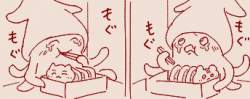 54434 B