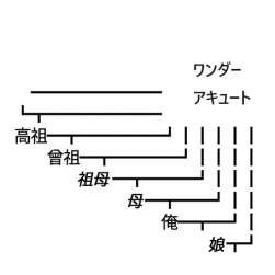 24803 B