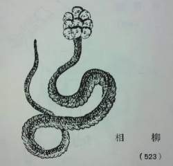 15646 B