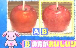 352982 B