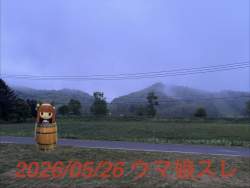 283638 B