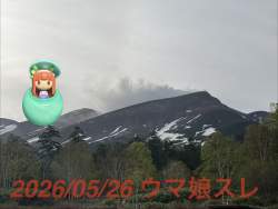 275830 B