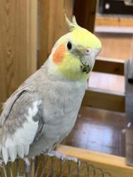 84651 B