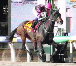 260961 B