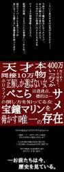 596296 B