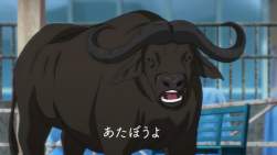 163714 B