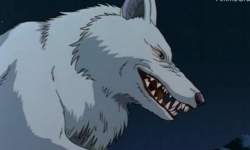 15736 B
