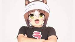 13633 B
