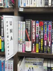 880791 B