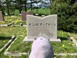 1108597 B