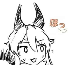50416 B