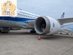 972595 B