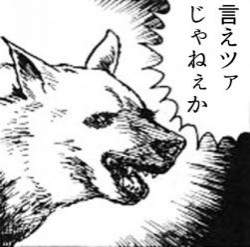 14503 B
