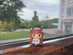 236691 B