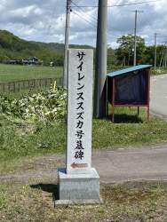 644928 B