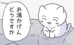 73463 B