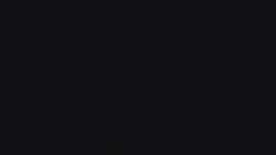 7987597 B