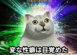 68829 B
