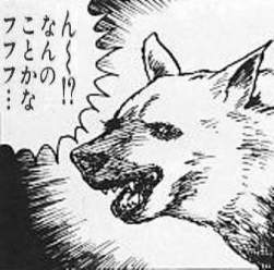 32452 B