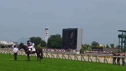 2766584 B