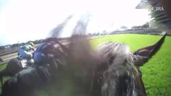 2259047 B