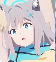 46196 B