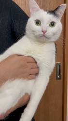 174231 B