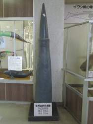 91284 B