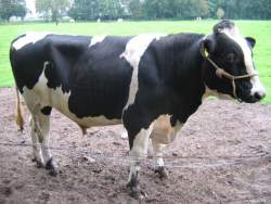 168848 B