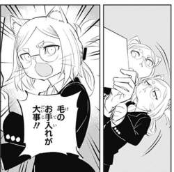 70885 B