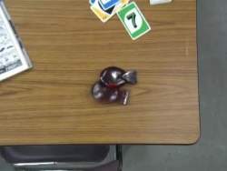 4424714 B