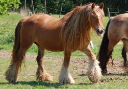 149051 B
