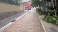 3463241 B