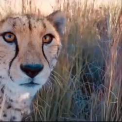 4637541 B